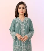 Aqua Elegance Embroidered Kurta Set - Image 3