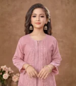 Blush Grace Embroidered Kurta Set - Image 4